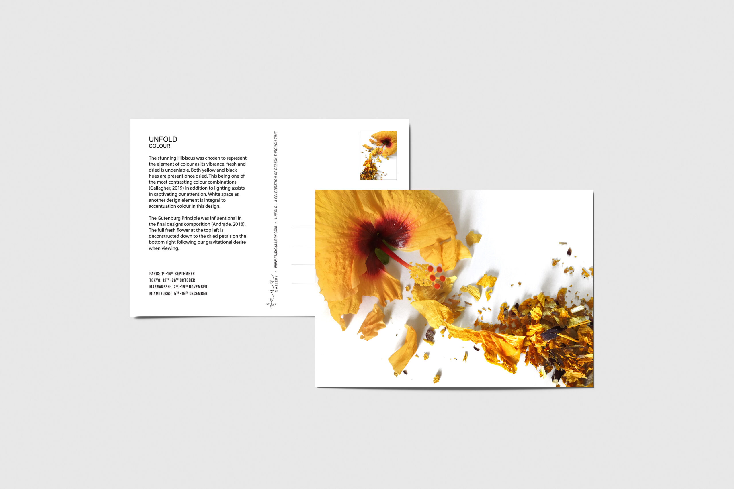 postcard-mockup_landscape Molto Bene logo overlay